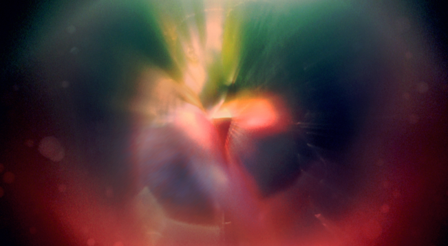 Staygold – Backseat